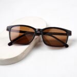 ApexSolar - Polarized Clipper + Free Screen Lense - Cp-260 - Image 5