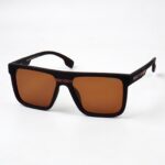 Eclipse - Polarized Sunglasses - S-1363 - Image 4