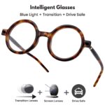 All In One - Transition + Screen - Z-148 Tortoise